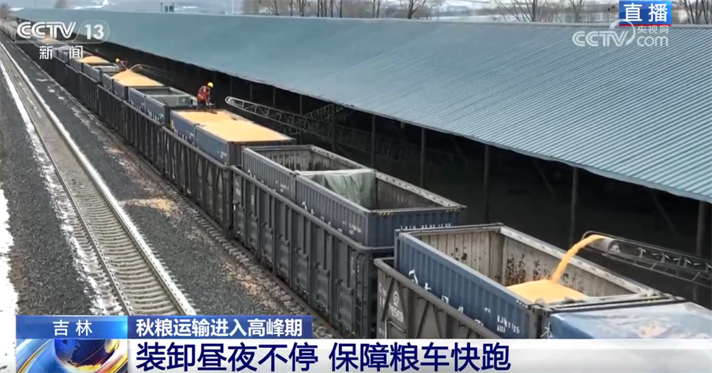 
北京中医院黄牛代挂号电话票贩子号贩子网上预约挂号,住院检查加快,“铁海联运”“黄金水道”按下秋粮运输“加速键” 为全国粮食安全筑牢坚实屏障