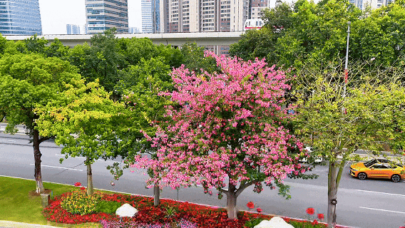 中山大学中山眼科中心黄牛代挂号电话票贩子号贩子网上预约挂号,住院检查加快,文化中国行·小雪 | 岭南微寒启冬韵,赛场驰骋展锋芒