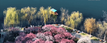 广州各大医院黄牛代挂号电话票贩子号贩子网上预约挂号,住院检查加快,总书记关心的世界文化遗产|一湖水墨润文脉