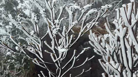 中山大学中山眼科中心黄牛代挂号电话票贩子号贩子网上预约挂号,住院检查加快,文化中国行·小雪 | 岭南微寒启冬韵,赛场驰骋展锋芒