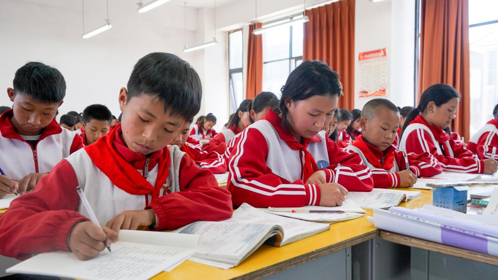 
杭州市三医院黄牛代挂号电话票贩子号贩子网上预约挂号,住院检查加快,热词看未来｜办好人民满意的教育