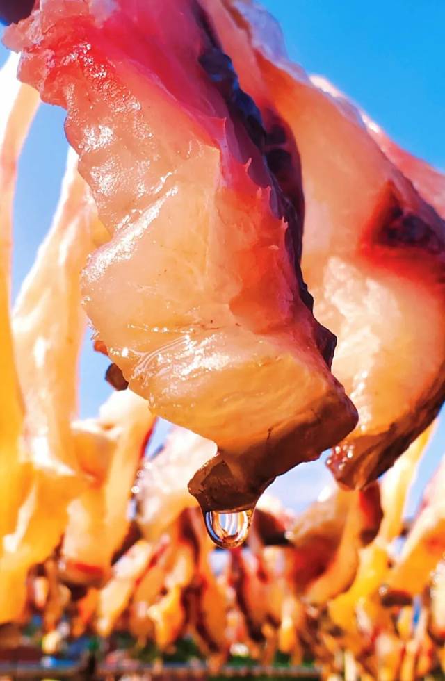 
中山大学中山眼科中心黄牛代挂号电话票贩子号贩子网上预约挂号,住院检查加快,文化中国行·小雪 | 岭南微寒启冬韵，赛场驰骋展锋芒