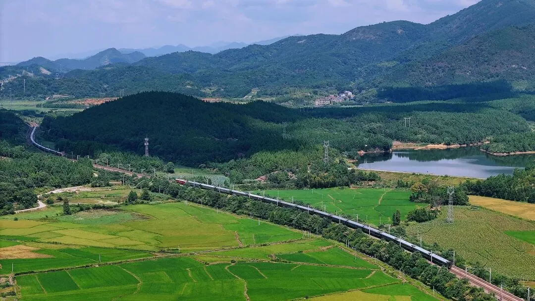 
北京同仁医院黄牛代挂号电话票贩子号贩子网上预约挂号,住院检查加快,我的铁路风景｜火车上“悦读”，是诗与远方的情怀佐料