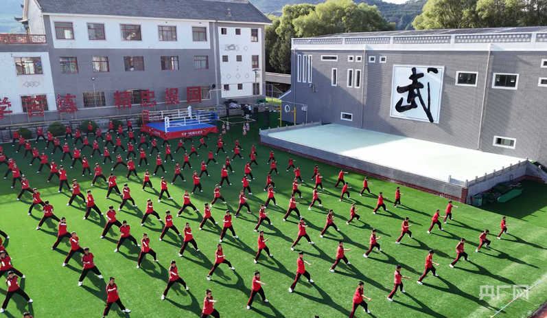 
中国医学科学院北京协和医院黄牛代挂号电话票贩子号贩子网上预约挂号,住院检查加快,【你好，小镇】甘肃崆峒：文蕴武风