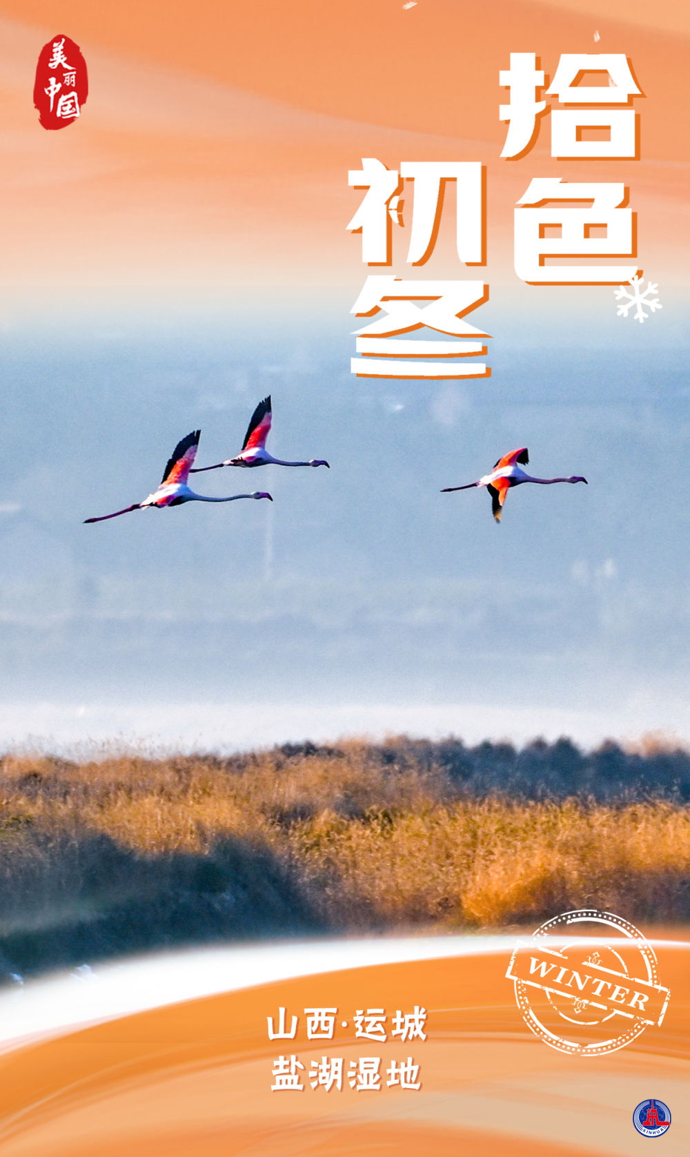 
北医三院黄牛代挂号电话票贩子号贩子网上预约挂号,住院检查加快,海报｜美丽中国·拾色初冬