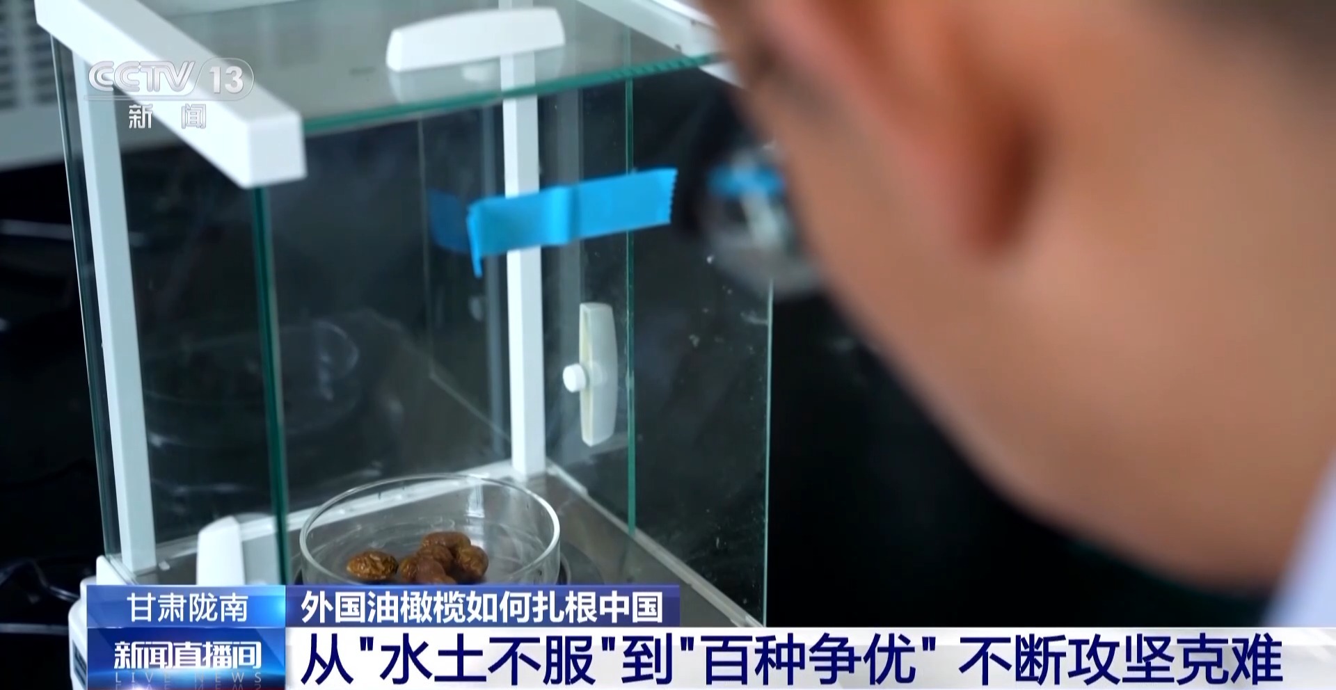 
首都医科大学附宣武医院黄牛代挂号电话票贩子号贩子网上预约挂号,住院检查加快,视频丨“洋果子”炼成“金果子” 陇南油橄榄是如何被“吃干榨尽”的？