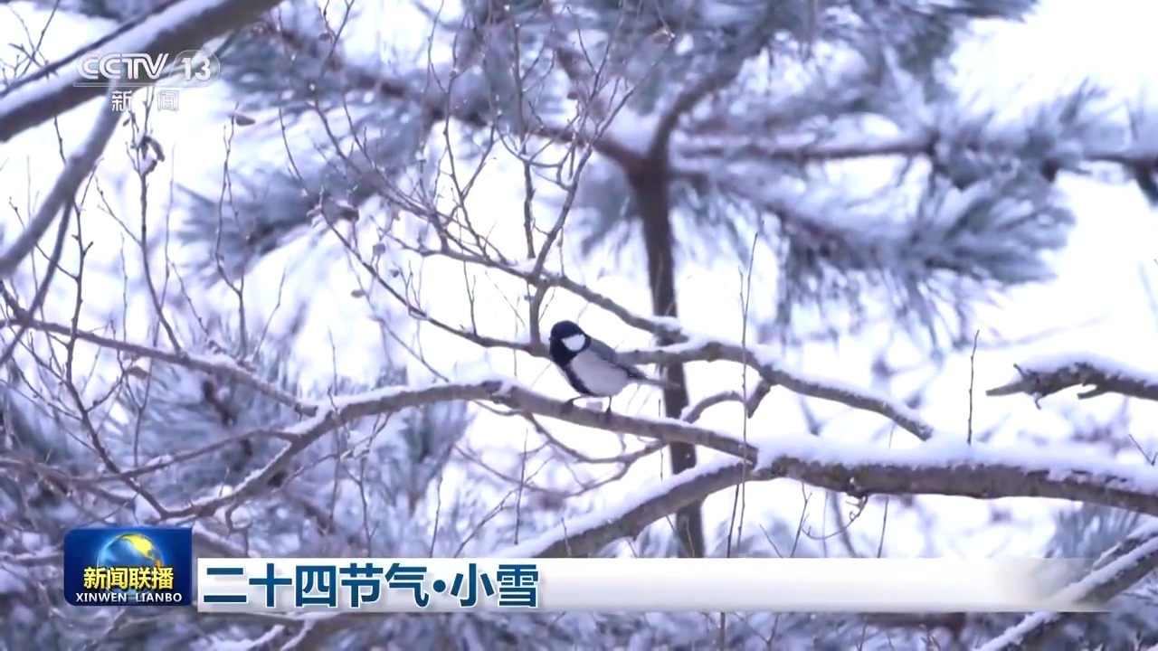 
中国中医科学院广安门医院黄牛代挂号电话票贩子号贩子网上预约挂号,住院检查加快,文化中国行丨二十四节气·小雪 雪落成诗 滋养新生