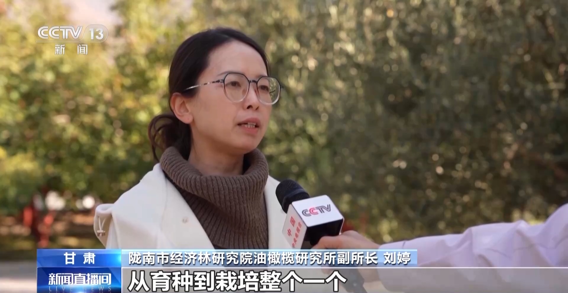 
首都医科大学附宣武医院黄牛代挂号电话票贩子号贩子网上预约挂号,住院检查加快,视频丨“洋果子”炼成“金果子” 陇南油橄榄是如何被“吃干榨尽”的？