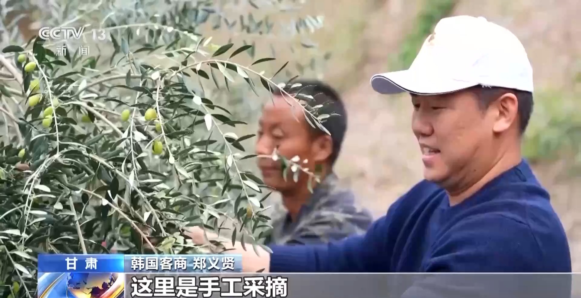 
首都医科大学附宣武医院黄牛代挂号电话票贩子号贩子网上预约挂号,住院检查加快,视频丨“洋果子”炼成“金果子” 陇南油橄榄是如何被“吃干榨尽”的？