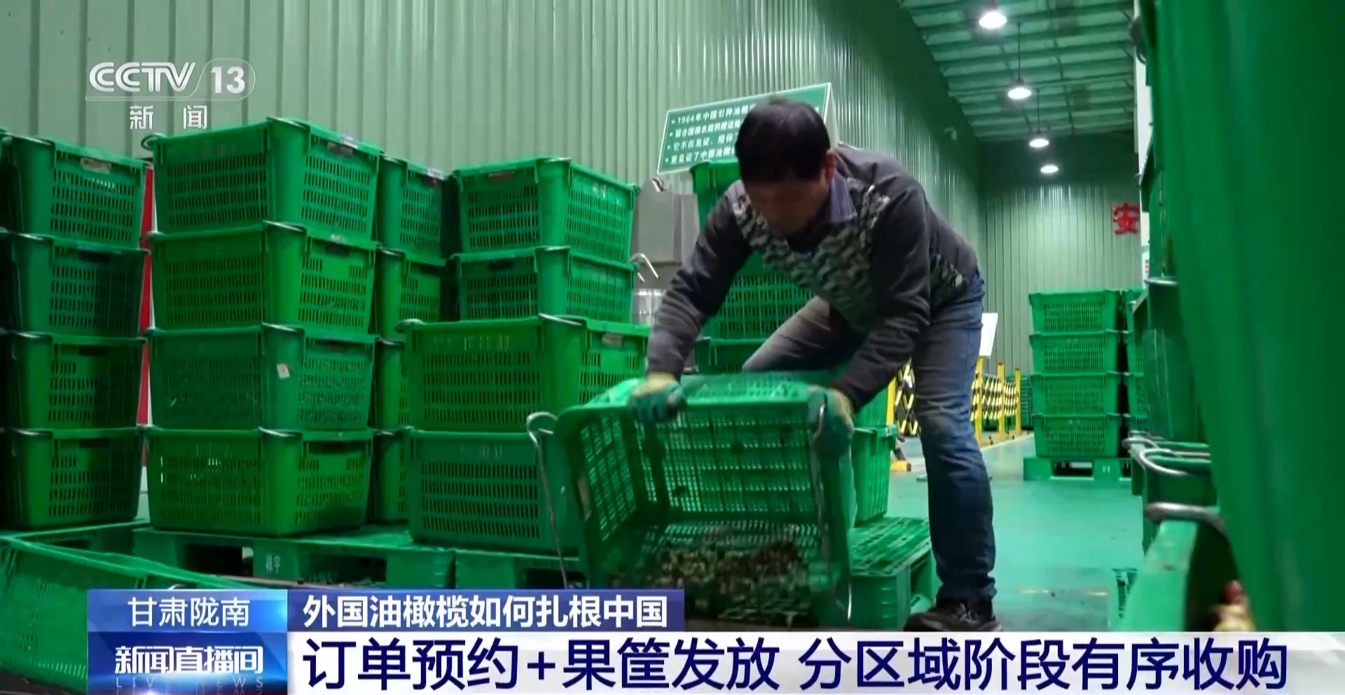 
首都医科大学附宣武医院黄牛代挂号电话票贩子号贩子网上预约挂号,住院检查加快,视频丨“洋果子”炼成“金果子” 陇南油橄榄是如何被“吃干榨尽”的？