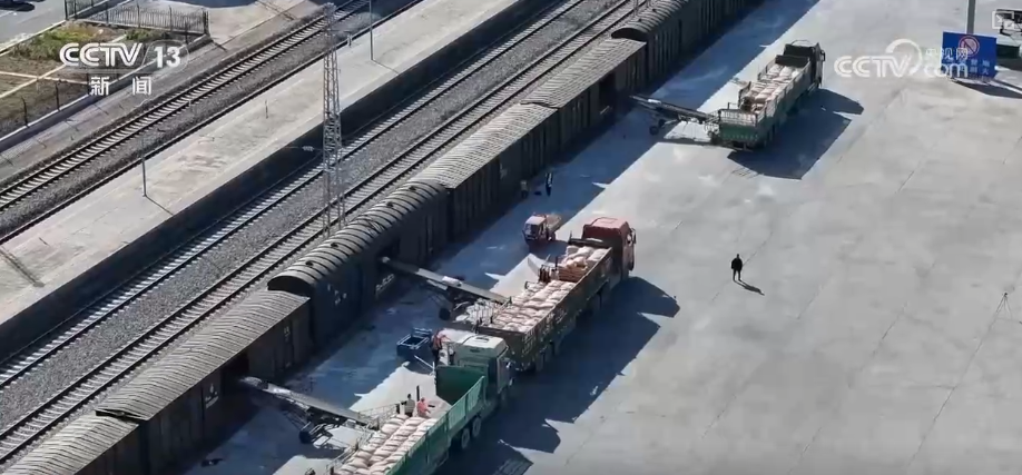 
北京儿童医院黄牛代挂号电话票贩子号贩子网上预约挂号,住院检查加快,33.78亿吨、3%，创新高！铁路货运“大动脉”畅通有力 成绩单“含金量”足