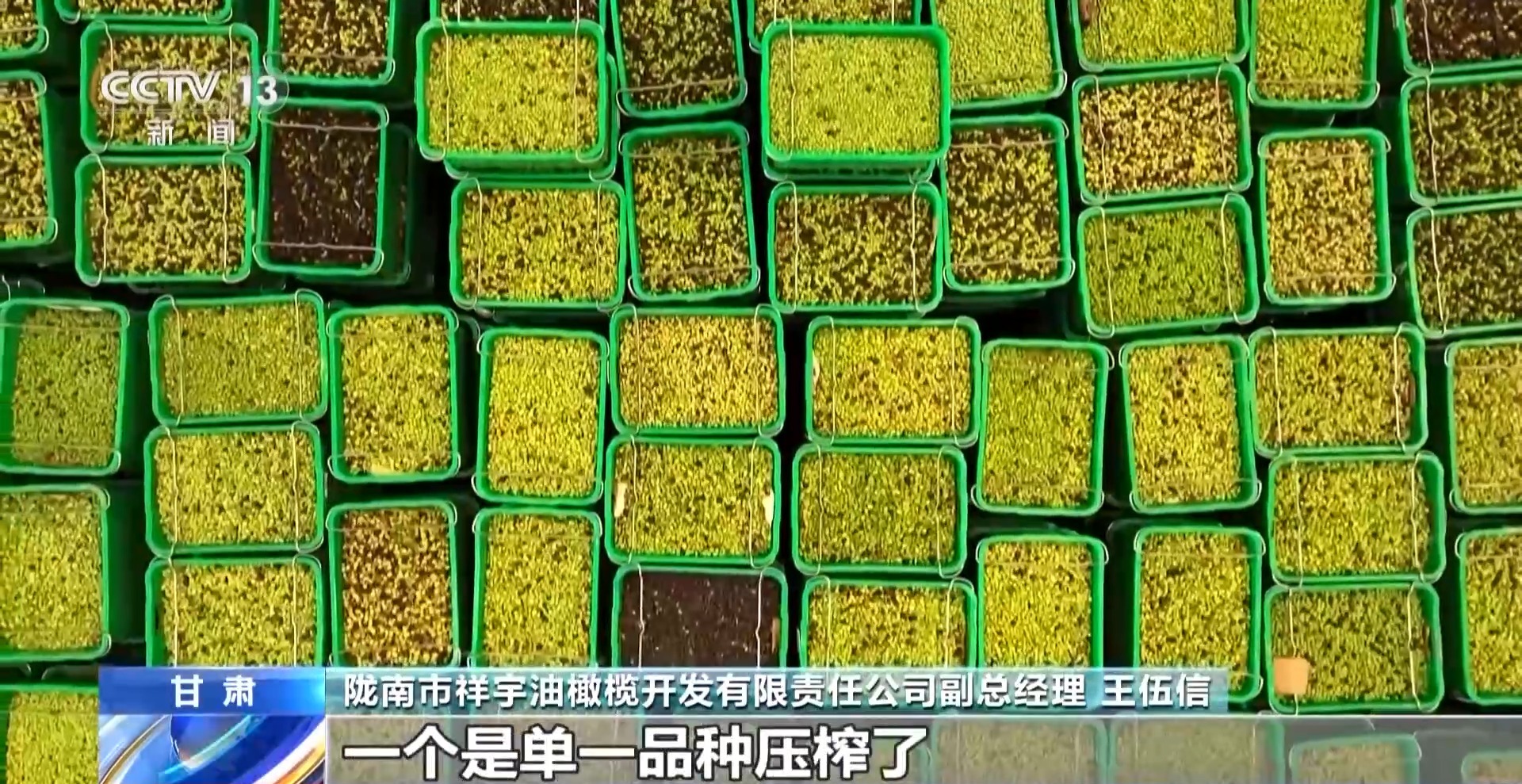 
首都医科大学附宣武医院黄牛代挂号电话票贩子号贩子网上预约挂号,住院检查加快,视频丨“洋果子”炼成“金果子” 陇南油橄榄是如何被“吃干榨尽”的？