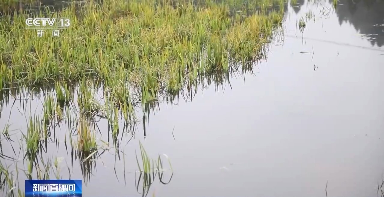 
天津儿童医院黄牛代挂号电话票贩子号贩子网上预约挂号,住院检查加快,视频丨小龙虾错峰上市带动农民增收 四川遂宁实现“四季有虾”
