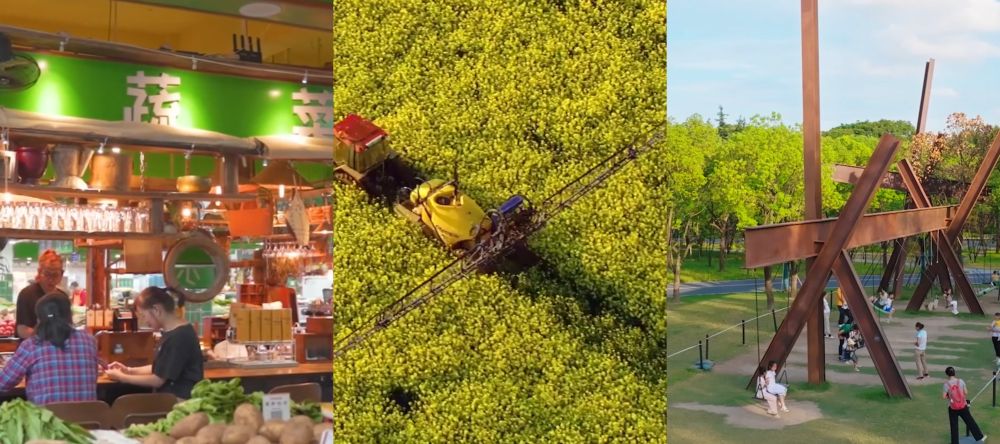 
杭州市三医院黄牛代挂号电话票贩子号贩子网上预约挂号,住院检查加快,新征程·新蓝图｜实施城乡居民增收计划 推动形成橄榄型分配格局