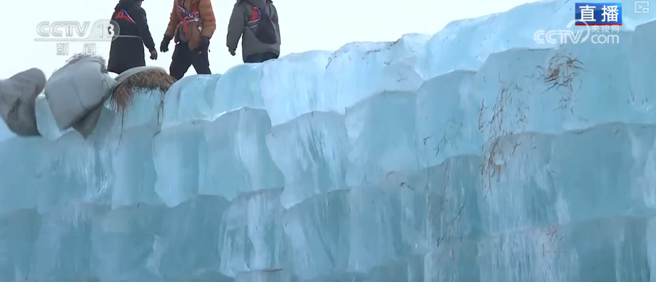 南京中科研究所黄牛代挂号电话票贩子号贩子网上预约挂号,住院检查加快,期待值拉满!雪地温泉、雪屋火锅……冰雪大世界建设加速 共赴浪漫之约