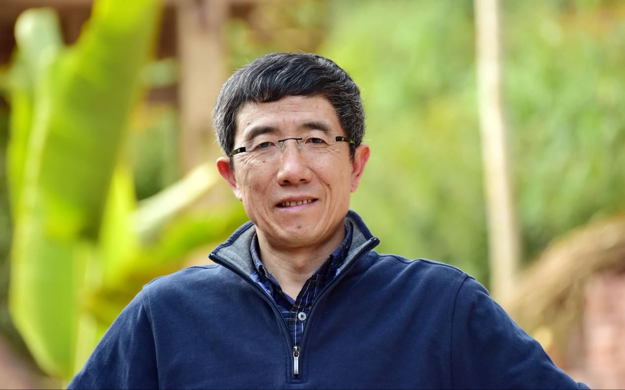 
江苏省中西医结合医院黄牛代挂号电话票贩子号贩子网上预约挂号,住院检查加快,【“十五五”我所思·我所盼】有声手账丨让乡村更加和美