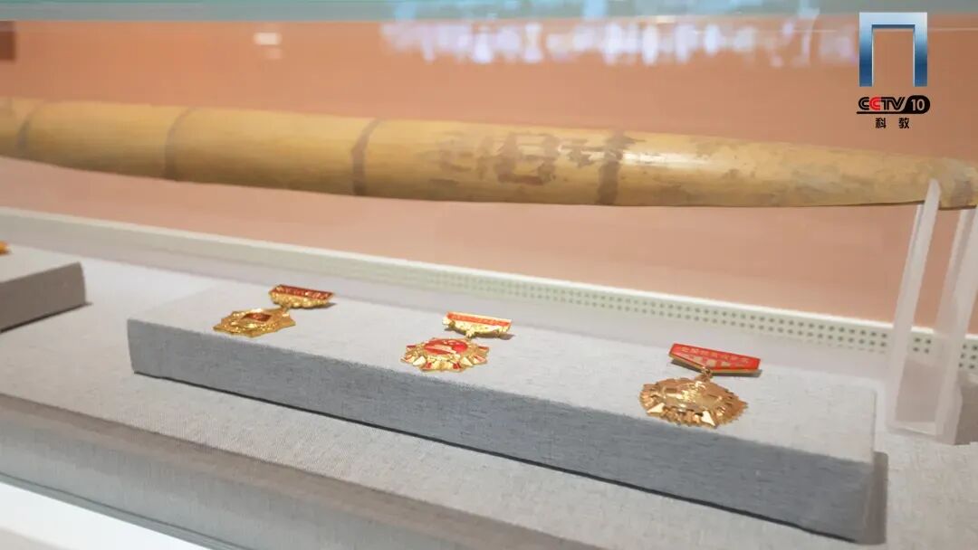 
上海各大医院黄牛代挂号电话票贩子号贩子网上预约挂号,住院检查加快,聆听青春回响，见证文脉传承，共赴《校馆弦歌》之约！