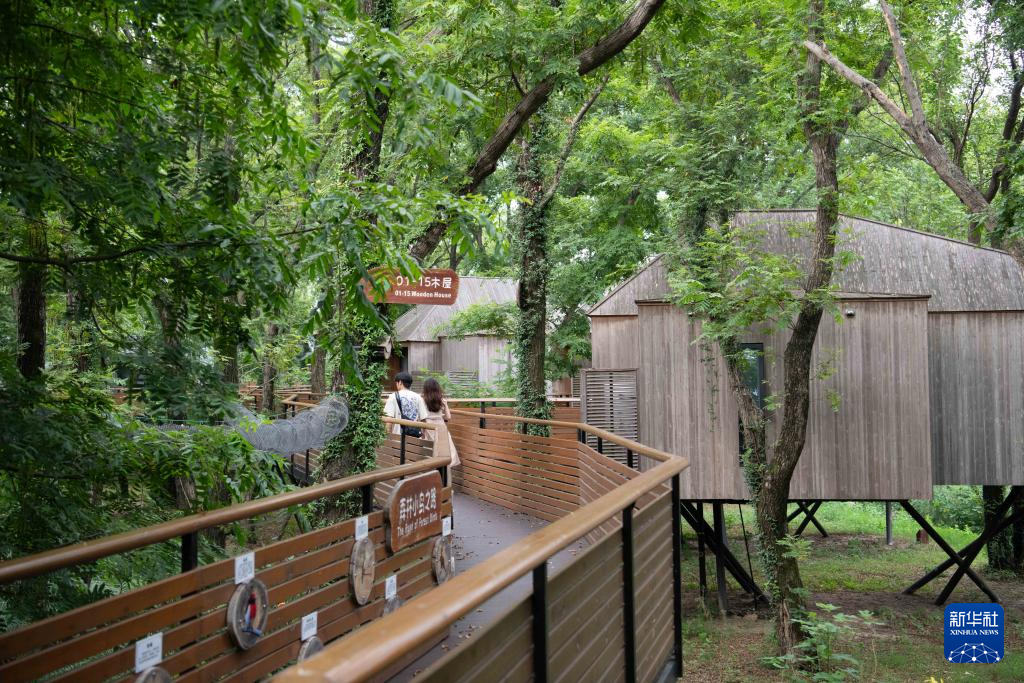 
天津血液研究所黄牛代挂号电话票贩子号贩子网上预约挂号,住院检查加快,中国经济样本观察·县域样本篇丨从“养在深闺”到惊艳世人——揭秘庐江之变的密码