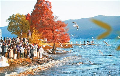 
上海肿瘤医院黄牛代挂号电话票贩子号贩子网上预约挂号,住院检查加快,洱海好风景带来发展好光景（人与自然）