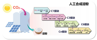 
北京中医药大学东直门医院黄牛代挂号电话票贩子号贩子网上预约挂号,住院检查加快,生物制造，让二氧化碳变废为宝（瞰前沿）
