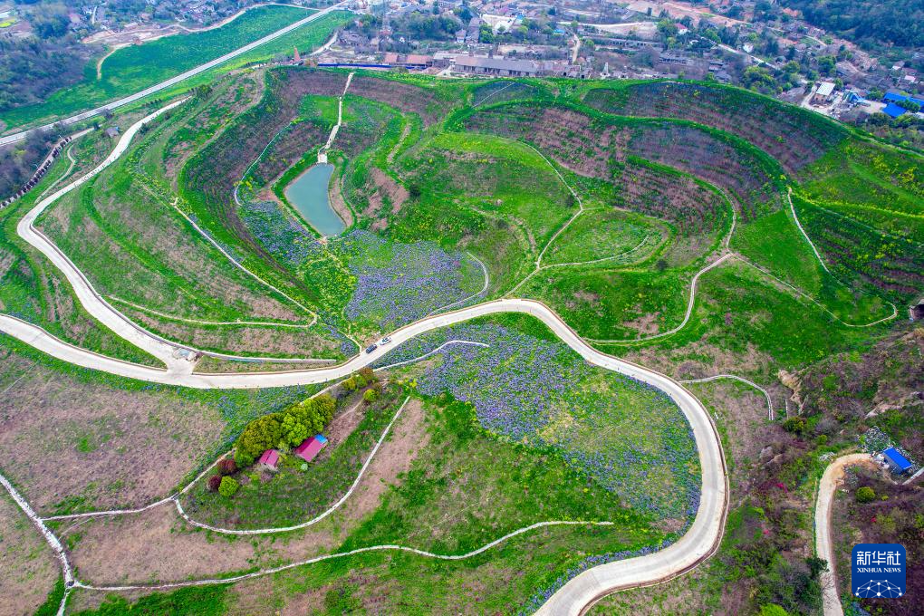 
天津血液研究所黄牛代挂号电话票贩子号贩子网上预约挂号,住院检查加快,中国经济样本观察·县域样本篇丨从“养在深闺”到惊艳世人——揭秘庐江之变的密码