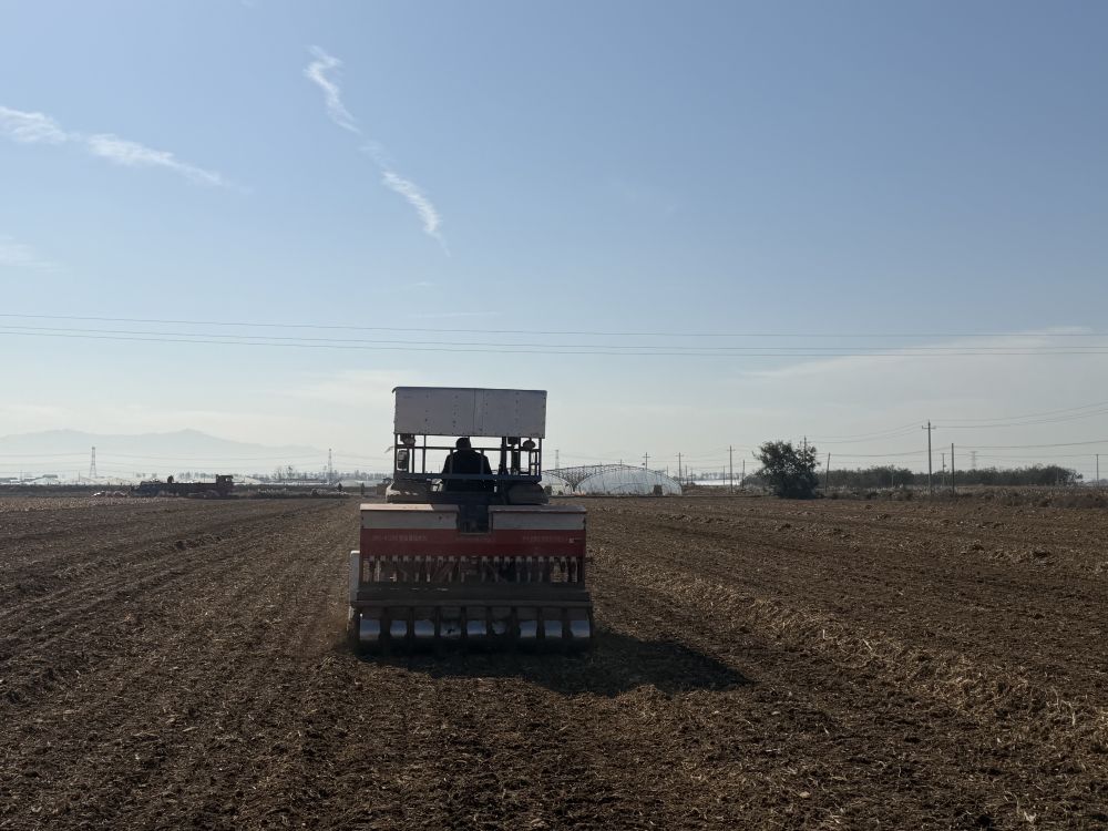 
北京安定医院黄牛代挂号电话票贩子号贩子网上预约挂号,住院检查加快,今冬不放松，来年“丰”可期——多地冬种及田间管护见闻