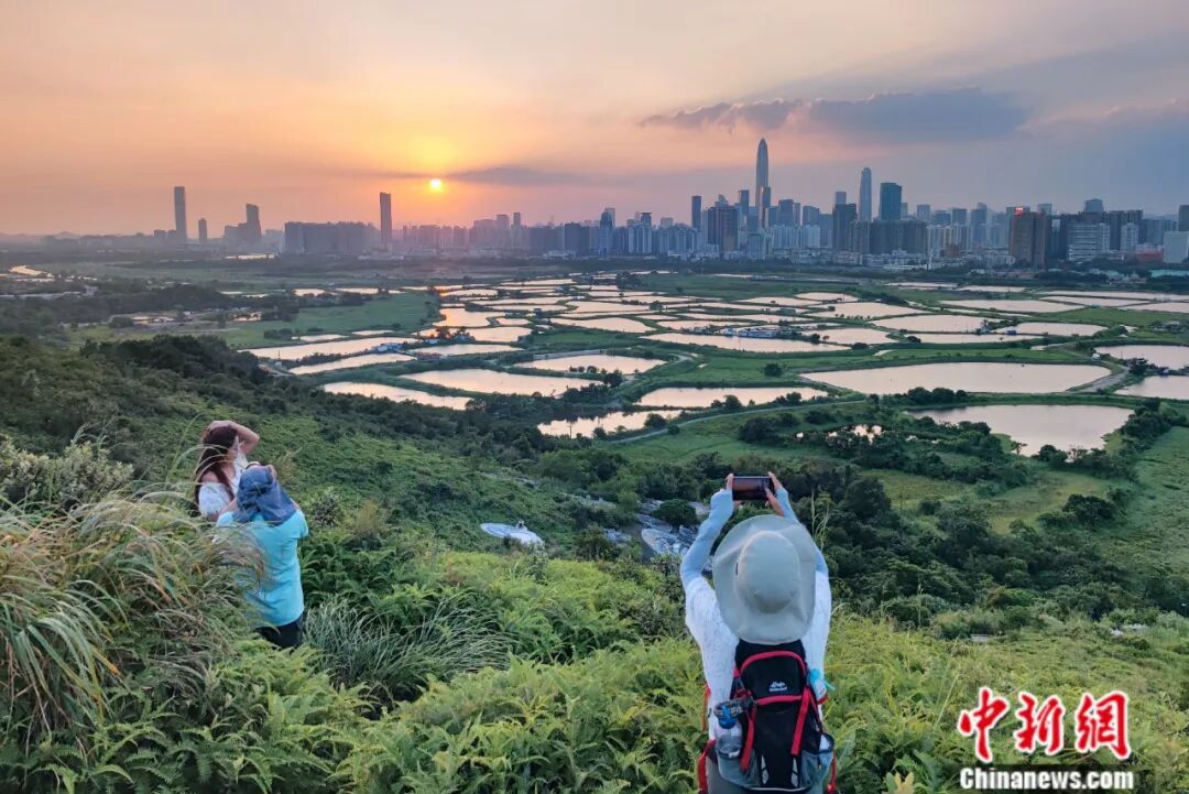 
沈阳医大二院黄牛代挂号电话票贩子号贩子网上预约挂号,住院检查加快,“数”解香港北部财富密码