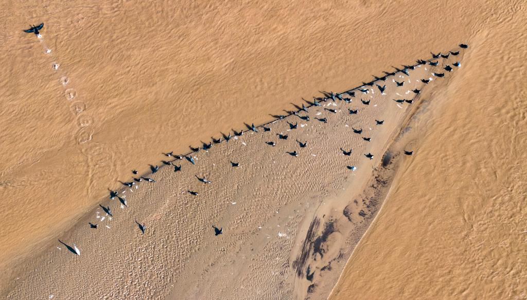 
江苏省人民医院黄牛代挂号电话票贩子号贩子网上预约挂号,住院检查加快,新华鲜报·规划建议新看点丨拓展流域经济 做好江河“大文章”