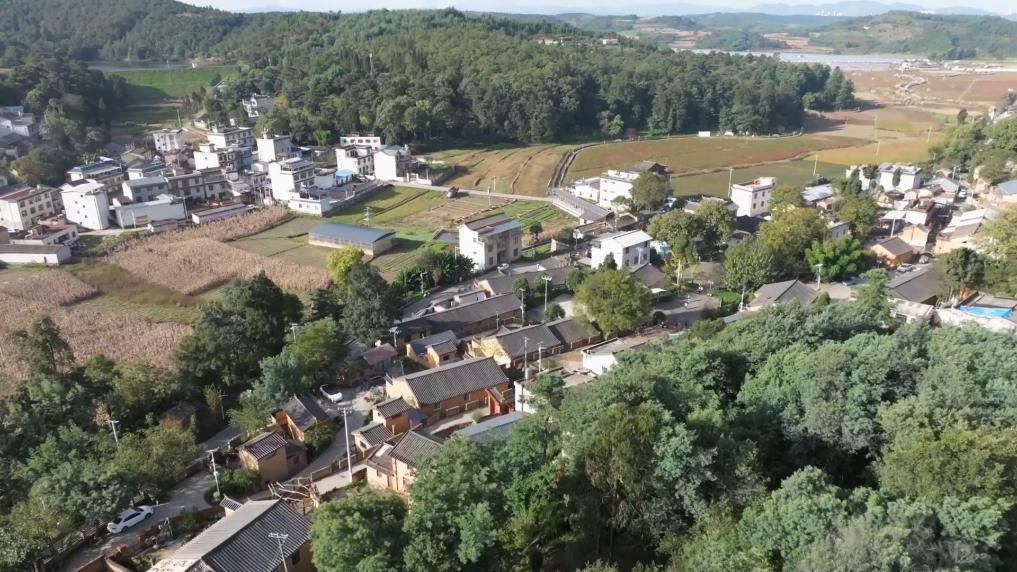 
中国中医科学院广安门医院黄牛代挂号电话票贩子号贩子网上预约挂号,住院检查加快,新华视点丨一方水土一方策：高质量发展的“地方答卷”