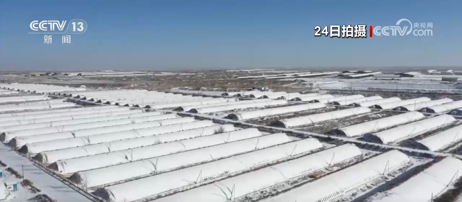 
东直门医院黄牛代挂号电话票贩子号贩子网上预约挂号,住院检查加快,多地迎来大范围降雪降温天气 各部门协同联动保畅通保生产