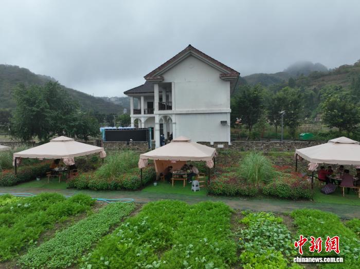 
上海儿童医院黄牛代挂号电话票贩子号贩子网上预约挂号,住院检查加快,冬日农事忙 中国“西部菜都”新农人辈出