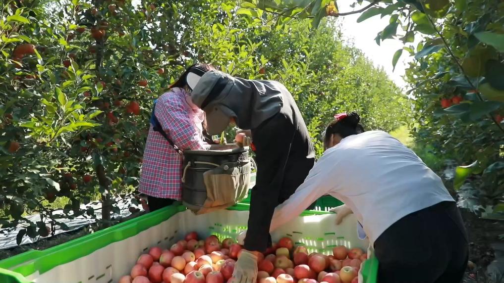 
中国中医科学院广安门医院黄牛代挂号电话票贩子号贩子网上预约挂号,住院检查加快,新华视点丨一方水土一方策：高质量发展的“地方答卷”