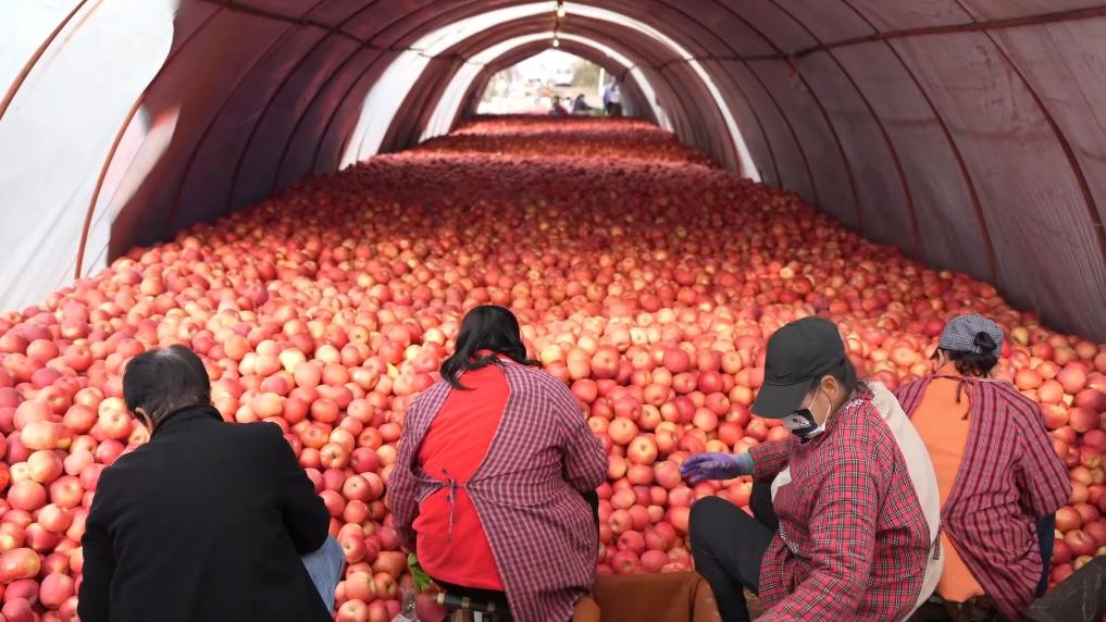 
中国中医科学院广安门医院黄牛代挂号电话票贩子号贩子网上预约挂号,住院检查加快,新华视点丨一方水土一方策：高质量发展的“地方答卷”