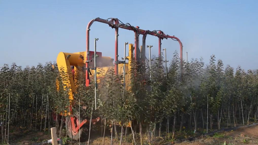 
中国中医科学院广安门医院黄牛代挂号电话票贩子号贩子网上预约挂号,住院检查加快,新华视点丨一方水土一方策：高质量发展的“地方答卷”