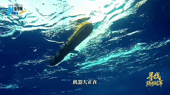 
北京妇产医院黄牛代挂号电话票贩子号贩子网上预约挂号,住院检查加快,寻找隐形冠军｜“读懂”深海