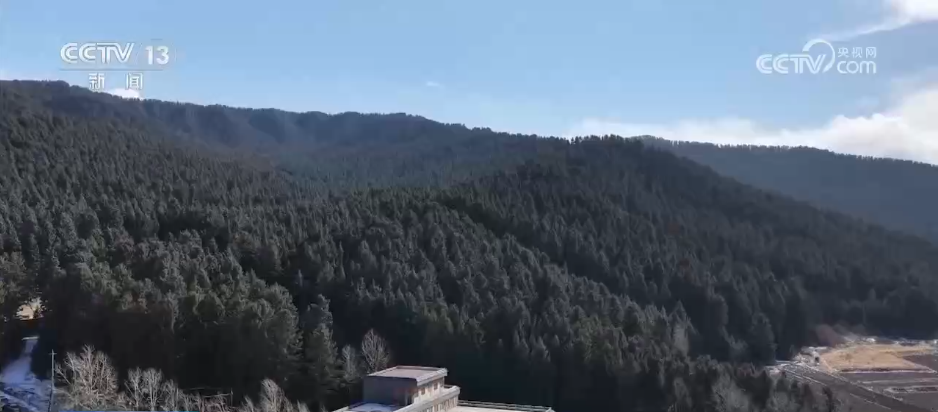 
北京世纪坛医院黄牛代挂号电话票贩子号贩子网上预约挂号,住院检查加快,超级冰滑梯、林海围炉……解锁新体验！特色冰雪活动拉满冬日文旅期待值