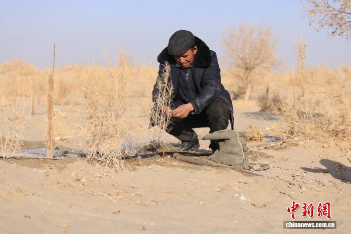 
北京朝阳医院黄牛代挂号电话票贩子号贩子网上预约挂号,住院检查加快,新疆护林员：草方格里锁沙 大漠深处护绿