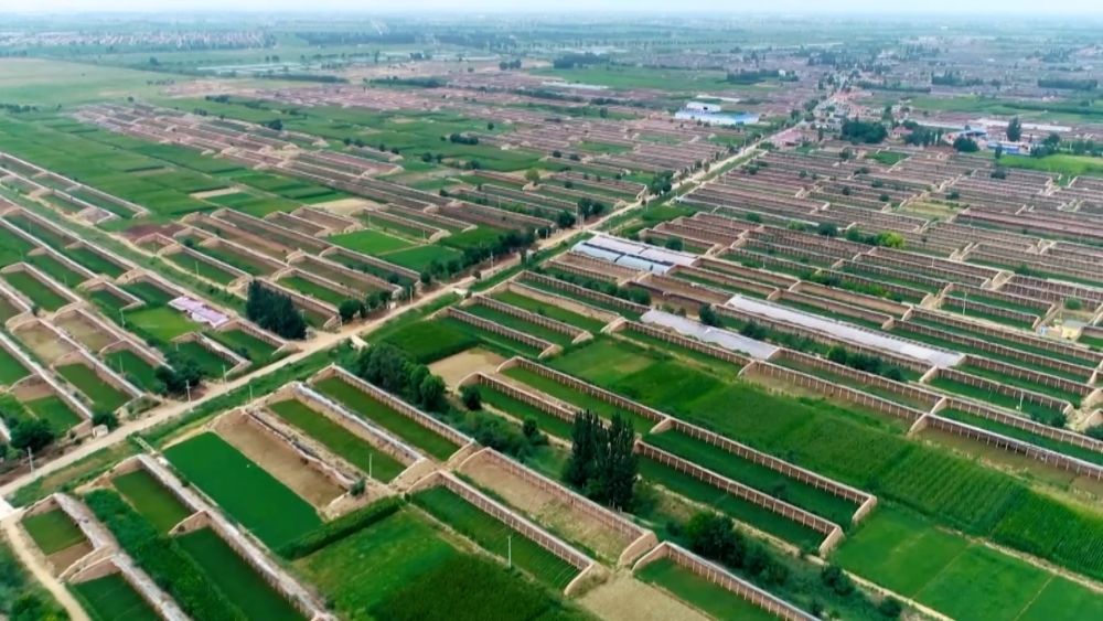 
西安市儿童医院黄牛代挂号电话票贩子号贩子网上预约挂号,住院检查加快,新华视点｜多元特色产业绘就乡村振兴新画卷