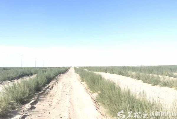 
杭州市妇幼保健院黄牛代挂号电话票贩子号贩子网上预约挂号,住院检查加快,锁边合龙一周年丨新疆“绿围脖”又织了938.22万亩