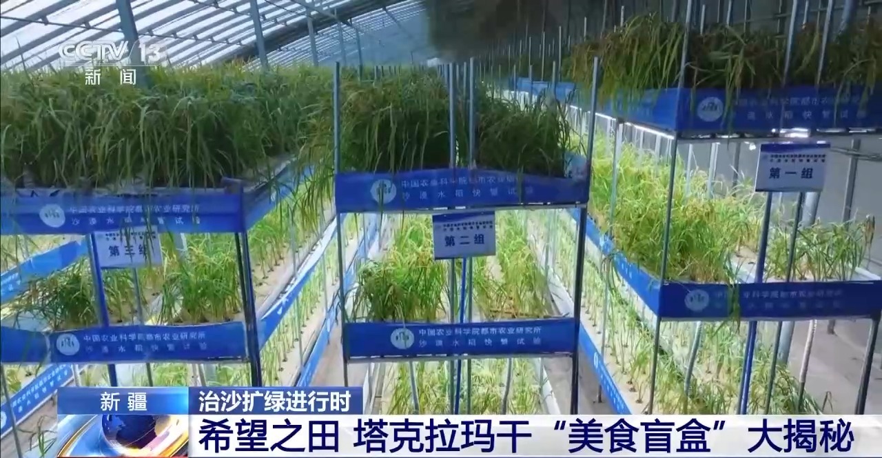 
天津血液研究所黄牛代挂号电话票贩子号贩子网上预约挂号,住院检查加快,视频丨从“死亡之海”到“水产绿洲” 解锁新疆“点沙成金”的密码→