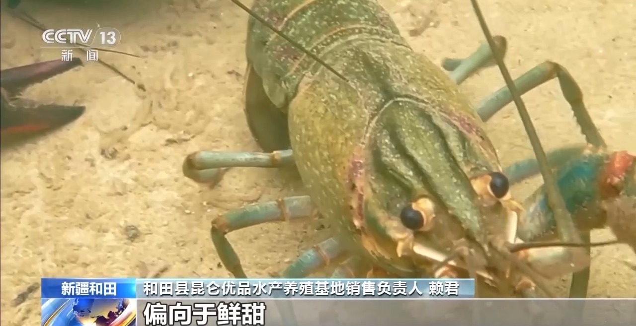 
天津血液研究所黄牛代挂号电话票贩子号贩子网上预约挂号,住院检查加快,视频丨从“死亡之海”到“水产绿洲” 解锁新疆“点沙成金”的密码→