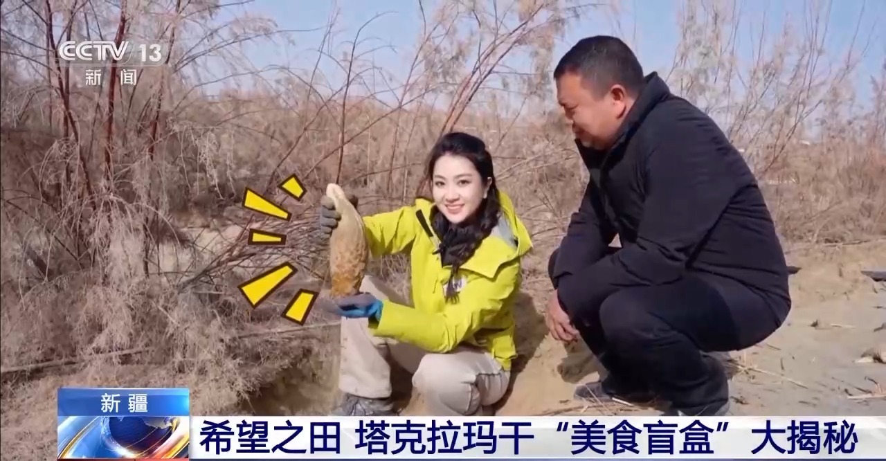 
天津血液研究所黄牛代挂号电话票贩子号贩子网上预约挂号,住院检查加快,视频丨从“死亡之海”到“水产绿洲” 解锁新疆“点沙成金”的密码→