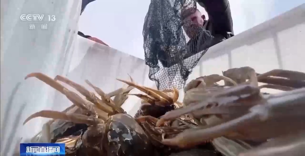 
天津血液研究所黄牛代挂号电话票贩子号贩子网上预约挂号,住院检查加快,视频丨从“死亡之海”到“水产绿洲” 解锁新疆“点沙成金”的密码→