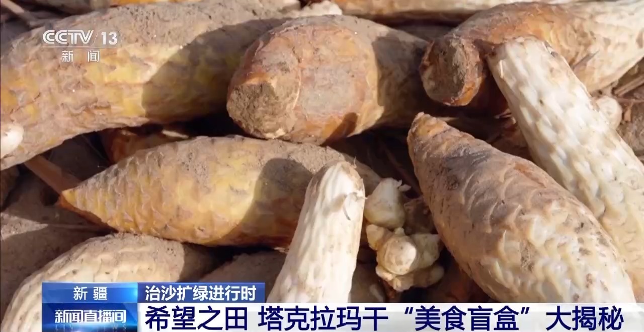 
天津血液研究所黄牛代挂号电话票贩子号贩子网上预约挂号,住院检查加快,视频丨从“死亡之海”到“水产绿洲” 解锁新疆“点沙成金”的密码→