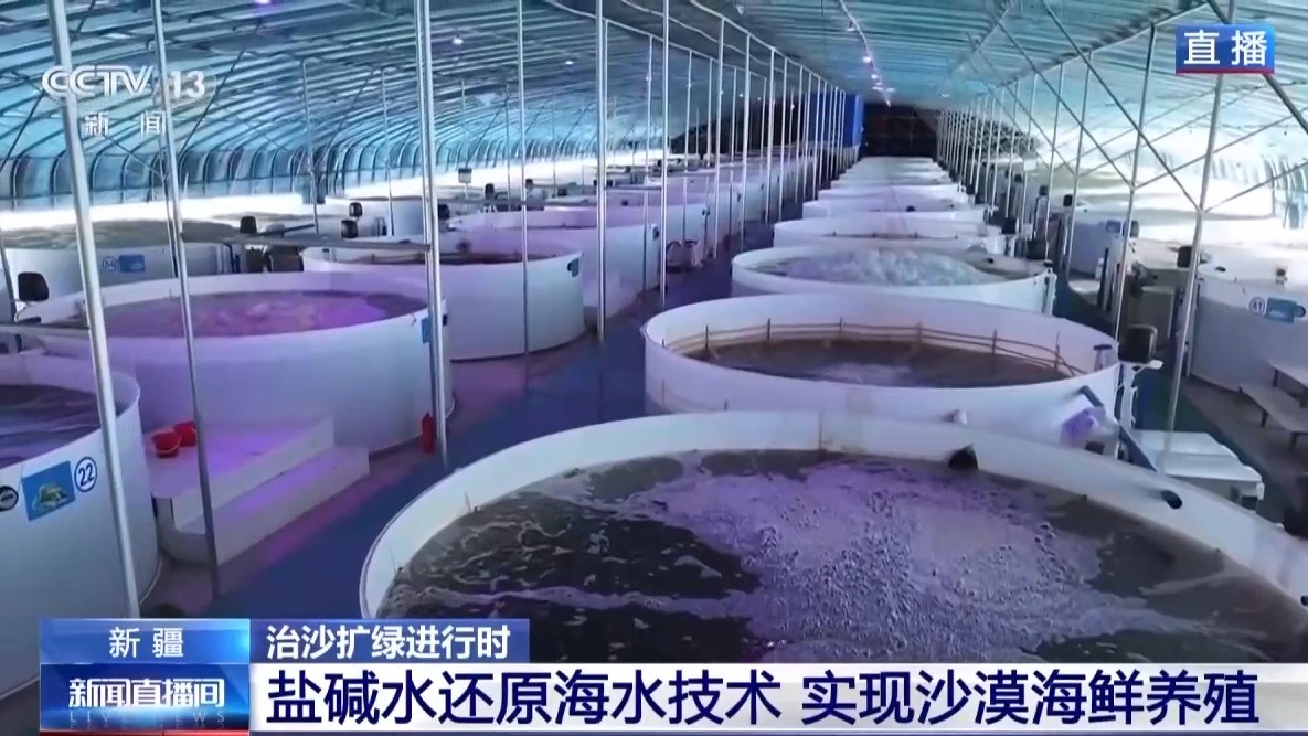 
南京市第一医院黄牛代挂号电话票贩子号贩子网上预约挂号,住院检查加快,视频丨沙漠里如何养海鲜？解锁塔克拉玛干沙漠的水产养殖密码