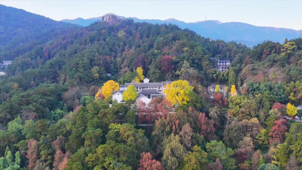 
浙江医院黄牛代挂号电话票贩子号贩子网上预约挂号,住院检查加快,新华视点｜文旅消费提质升级 多地经济焕发冬日新活力