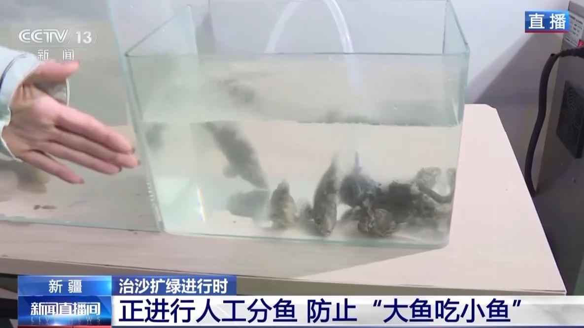 
南京市第一医院黄牛代挂号电话票贩子号贩子网上预约挂号,住院检查加快,视频丨沙漠里如何养海鲜？解锁塔克拉玛干沙漠的水产养殖密码