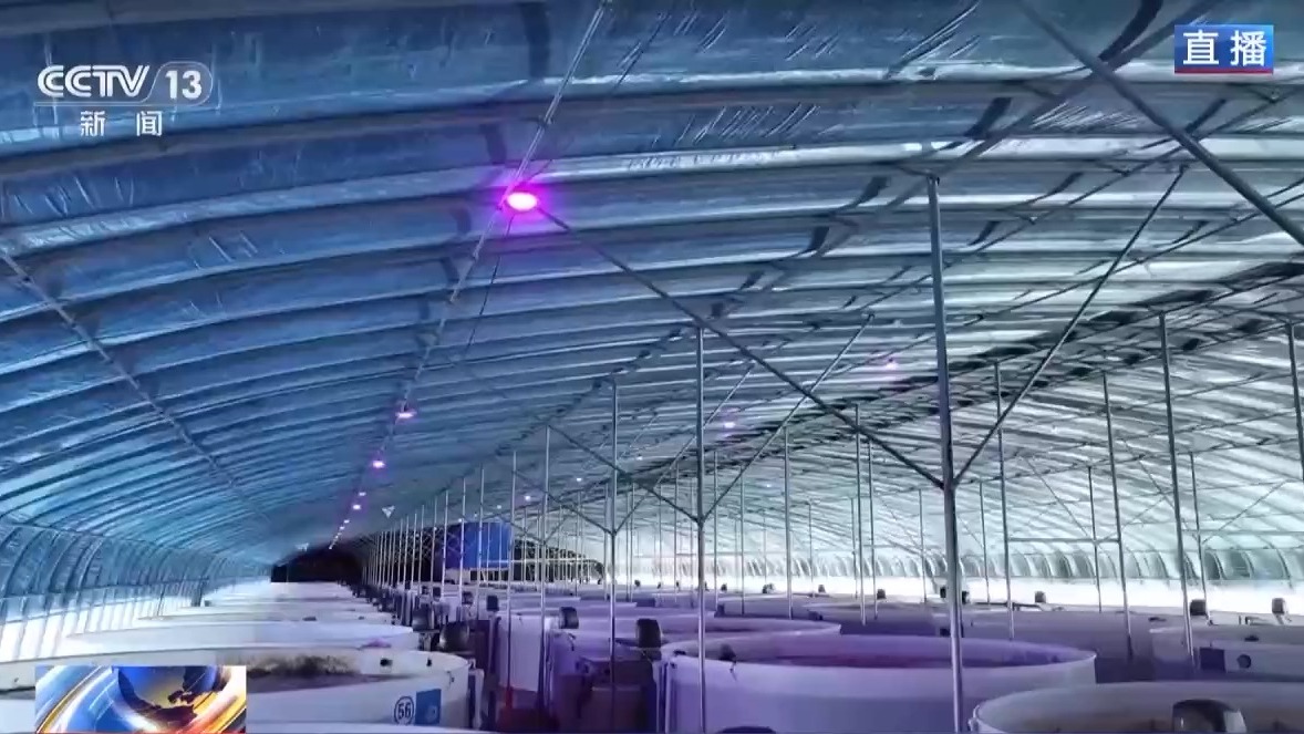 
南京市第一医院黄牛代挂号电话票贩子号贩子网上预约挂号,住院检查加快,视频丨沙漠里如何养海鲜？解锁塔克拉玛干沙漠的水产养殖密码