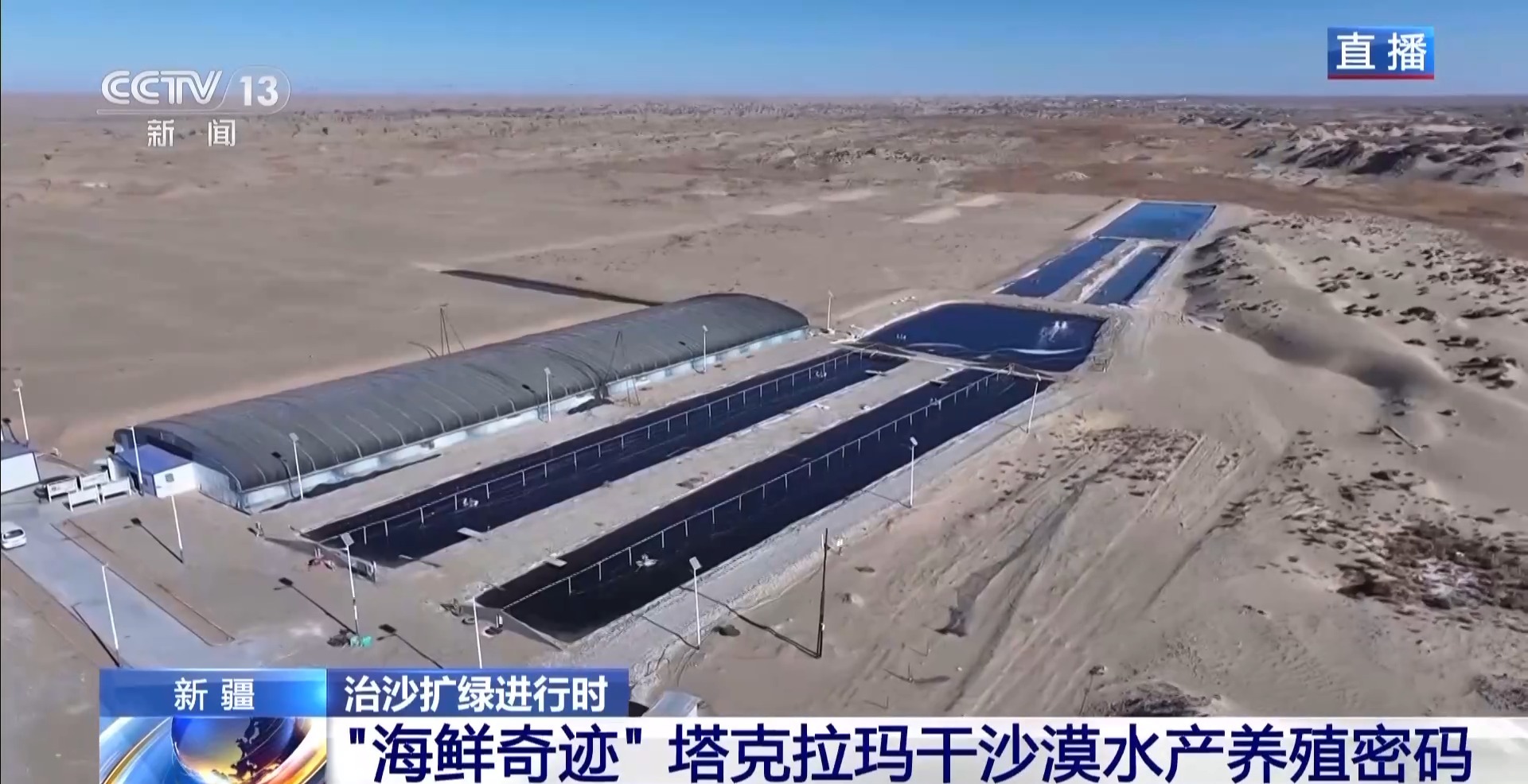 
南京市第一医院黄牛代挂号电话票贩子号贩子网上预约挂号,住院检查加快,视频丨沙漠里如何养海鲜？解锁塔克拉玛干沙漠的水产养殖密码