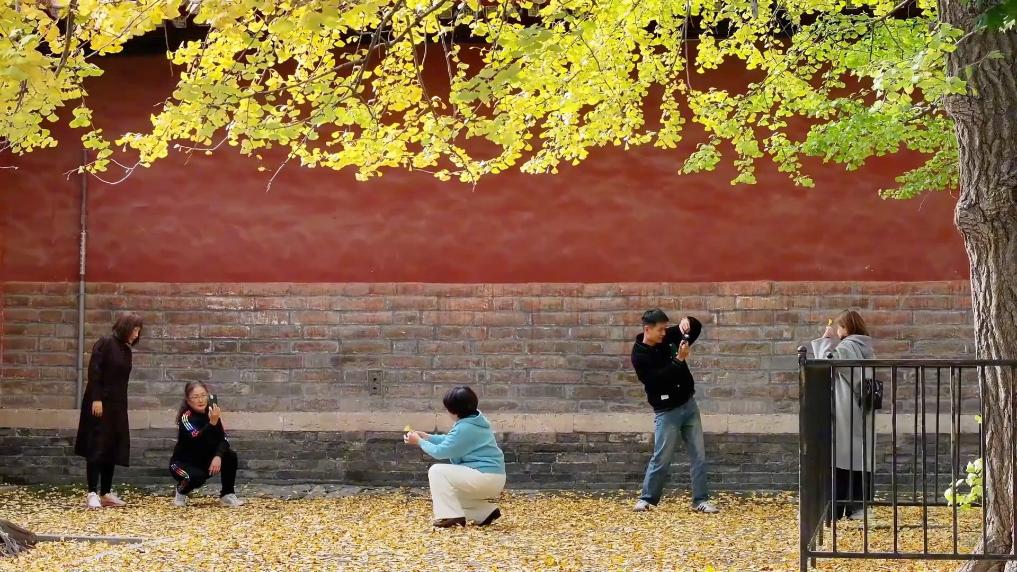 
浙江医院黄牛代挂号电话票贩子号贩子网上预约挂号,住院检查加快,新华视点｜文旅消费提质升级 多地经济焕发冬日新活力